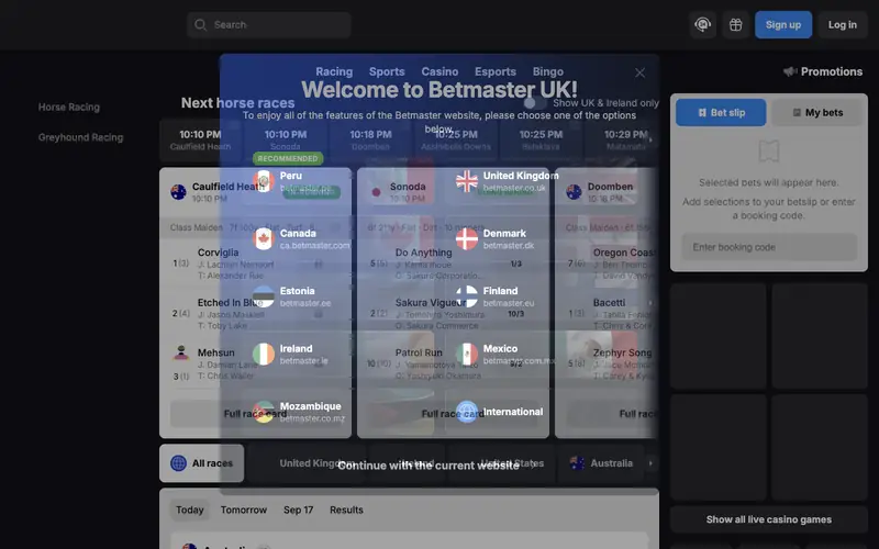 Homepage of betmaster.uk